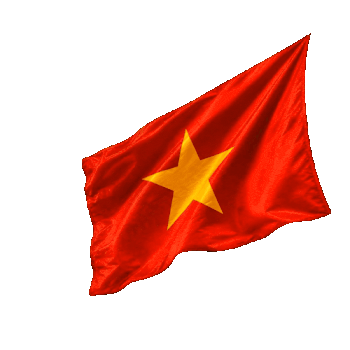 flag 1